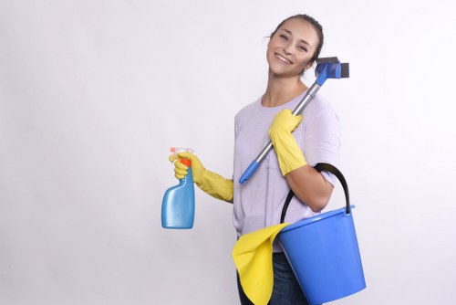 Exterior cleaning for residential and commercial properties in Merton